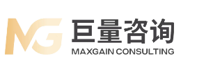 巨量咨询